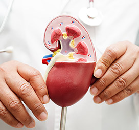 KIDNEY_FUNCTION_INHALATION