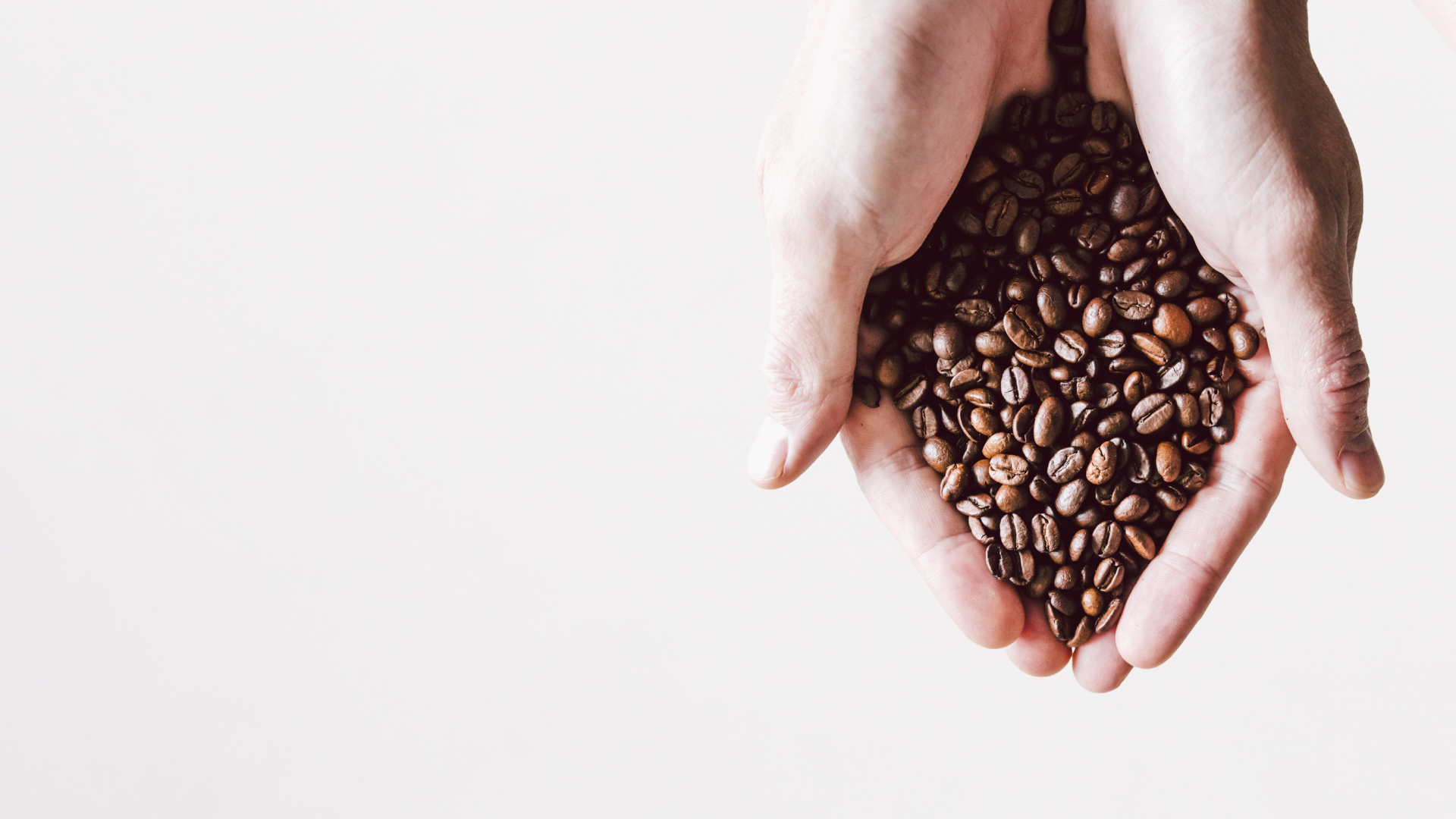 Untitled design (11)